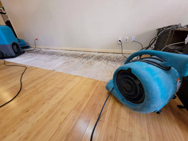 Professional Burst Pipe Water Damage technician working in Port Edwards, WI